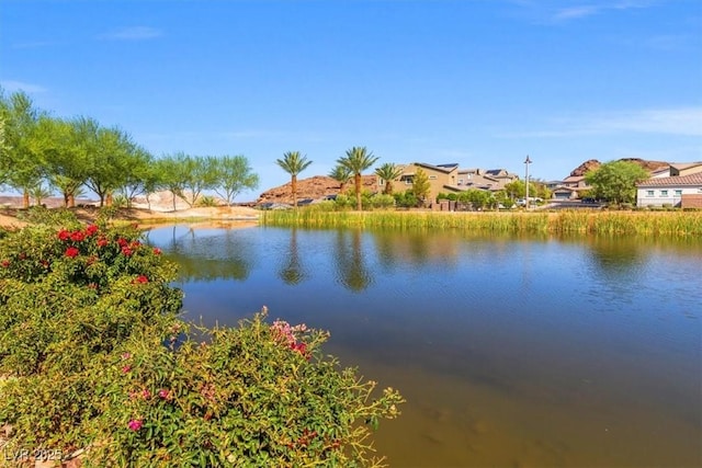 15 Via Amarone, Henderson, NV 89011 - photo 19