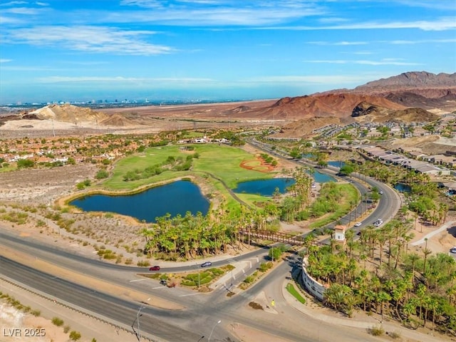 15 Via Amarone, Henderson, NV 89011 - photo 74