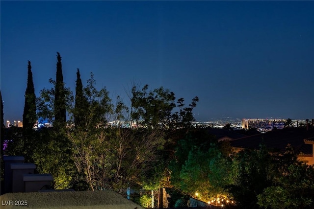 12033 Malva Pl, Las Vegas, NV 89138 - photo 3