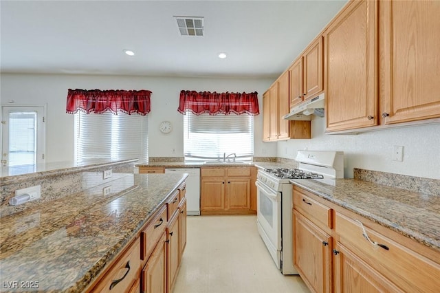 4501 Orange Heights St, Las Vegas, NV 89129 - photo 28