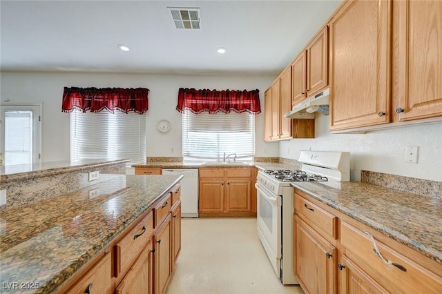 4501 Orange Heights St, Las Vegas, NV 89129 - photo 23
