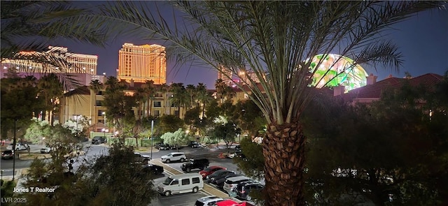 220 E Flamingo Rd Unit 302, Las Vegas, NV 89169 - photo 25