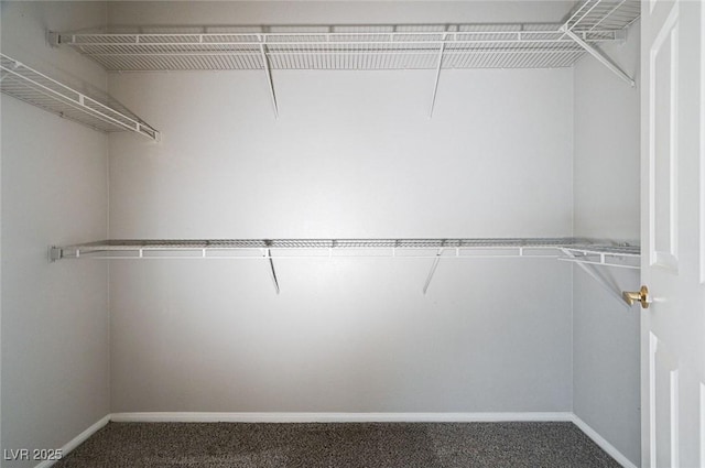 8555 W Russell Rd Unit 2015, Las Vegas, NV 89113 - walk in closet featuring carpet flooring