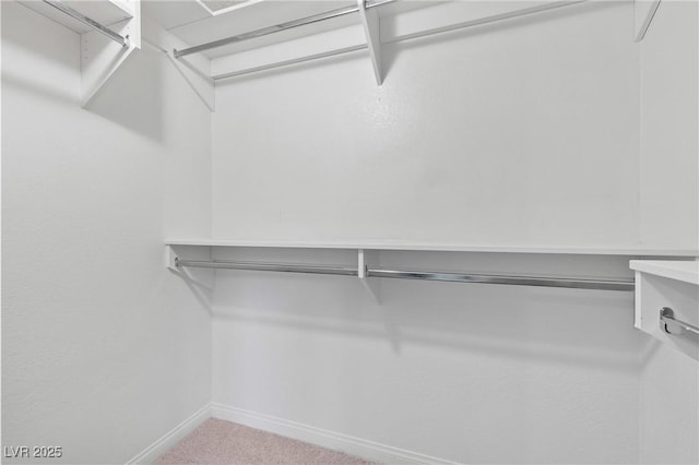 2200 S Fort Apache Rd Unit 1114, Las Vegas, NV 89117 - walk in closet featuring carpet flooring