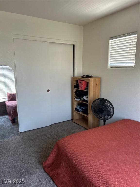 4013 Kindhearted Ct, North Las Vegas, NV 89032 - carpeted bedroom featuring multiple windows and a closet