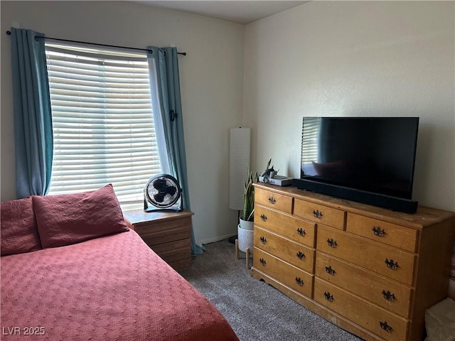 4013 Kindhearted Ct, North Las Vegas, NV 89032 - carpeted bedroom with multiple windows