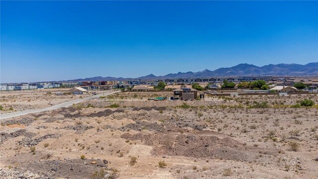 Welpman Way, Henderson, NV 89044 - photo 8
