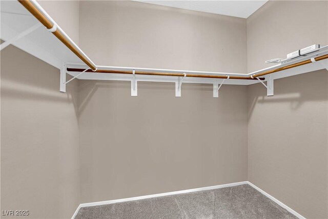 8520 Insignia Ave Unit 104, Las Vegas, NV 89178 - walk in closet featuring carpet flooring