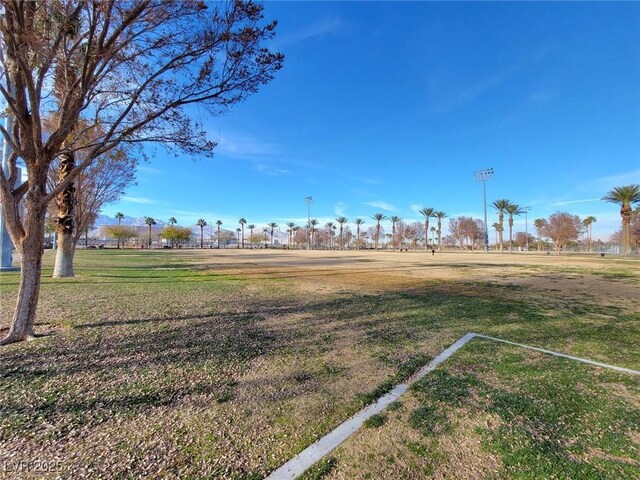 10482 Calico Pines Ave, Las Vegas, NV 89135 - view of green lawn