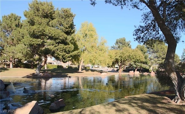 3324 Canyon Lake Dr, Las Vegas, NV 89117 - water view