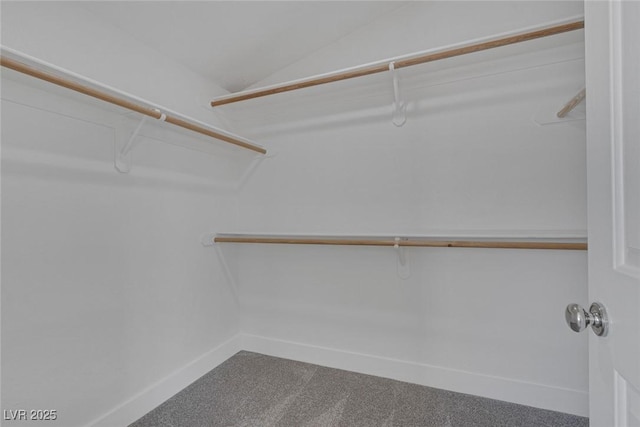 3664 Summer Picnic Ct, Las Vegas, NV 89147 - spacious closet featuring carpet floors and lofted ceiling