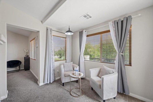 7012 Geese Gathering St, North Las Vegas, NV 89084 - sitting room featuring carpet floors