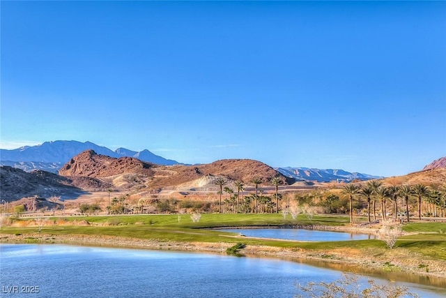 17 Via Del Garda, Henderson, NV 89011 - photo 45
