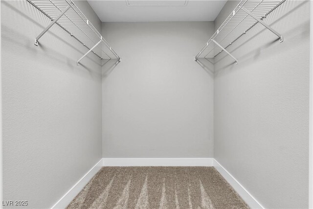 5710 E Tropicana Ave Unit 2152, Las Vegas, NV 89122 - spacious closet with carpet floors