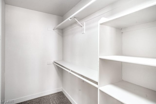10009 Coral Sands Dr, Las Vegas, NV 89117 - spacious closet with carpet