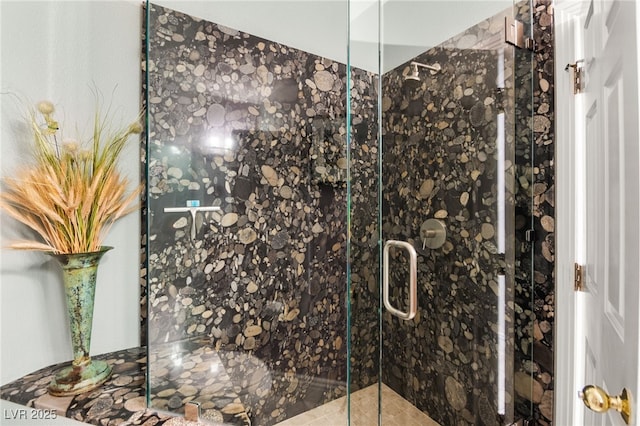 7428 Doe Ave, Las Vegas, NV 89117 - bathroom featuring a stall shower