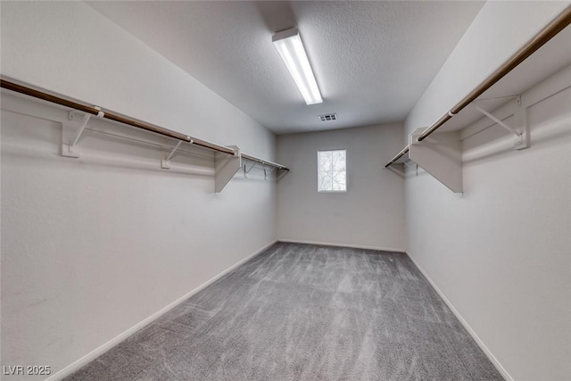 5017 Wild Buffalo Ave, Las Vegas, NV 89131 - photo 29
