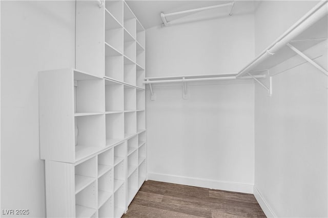 6129 Bedrock Ct, North Las Vegas, NV 89031 - walk in closet with dark wood-style floors
