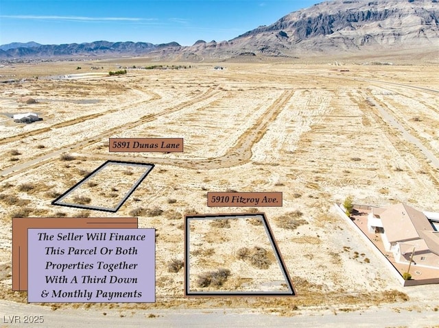 5910 N Fitzroy Ave, Pahrump, NV 89060