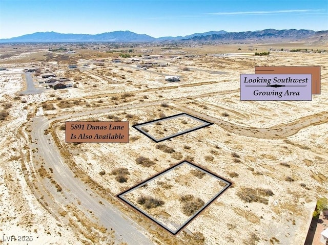 5910 N Fitzroy Ave, Pahrump, NV 89060