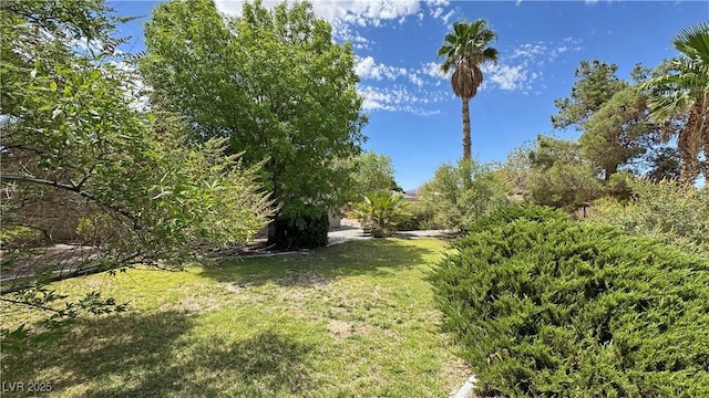 30 Diamond Bar Rd, Pahrump, NV 89048 - photo 47