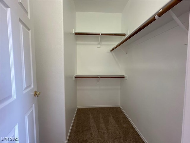 1050 E Cactus Ave Unit 2086, Las Vegas, NV 89183 - spacious closet with dark carpet