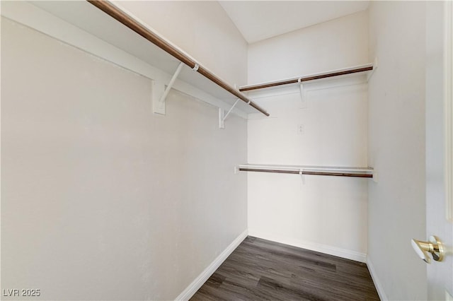 1050 E Cactus Ave Unit 2110, Las Vegas, NV 89183 - walk in closet featuring dark wood-style floors