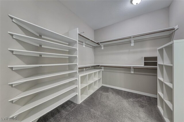 12313 Old Muirfield St, Las Vegas, NV 89141 - walk in closet with dark colored carpet