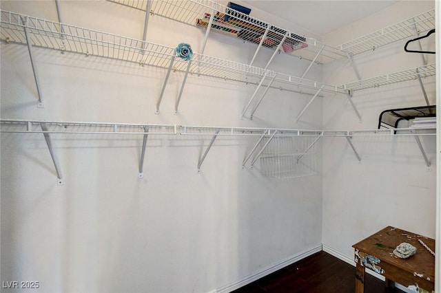 3673 Calypso Beach Ct, Las Vegas, NV 89115 - spacious closet with dark wood-style floors