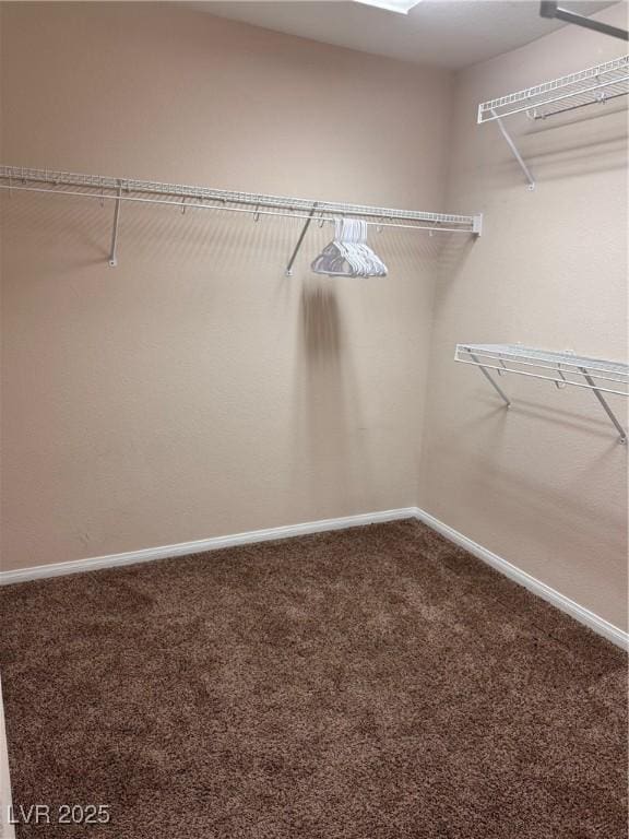 32 Yellow Peak Ave, North Las Vegas, NV 89031 - spacious closet featuring carpet flooring
