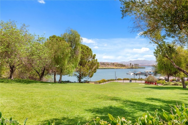 9 Via Lido, Henderson, NV 89011 - photo 29