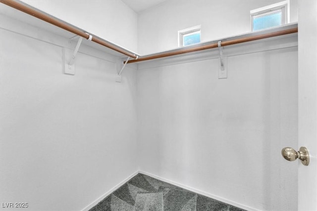 9948 Trailing Vine St, Las Vegas, NV 89183 - walk in closet featuring carpet floors