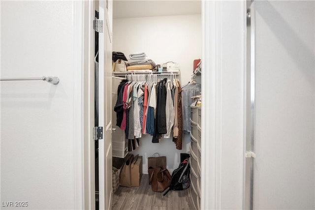 3447 Covilha Ln, Henderson, NV 89044 - walk in closet featuring wood finished floors