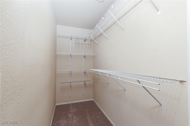 2610 Gardenia Flower Ave, North Las Vegas, NV 89031 - walk in closet featuring carpet flooring