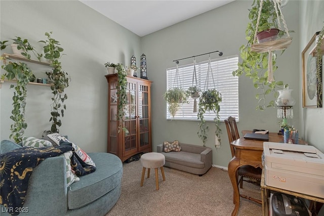 10245 S Maryland Pkwy Unit 2197, Las Vegas, NV 89183 - photo 24