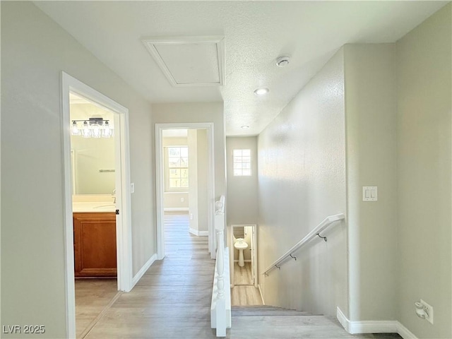 11185 Saddle Iron St, Las Vegas, NV 89179 - photo 9