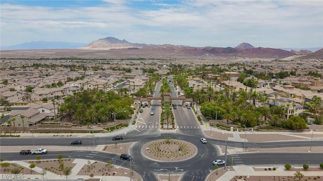 229 Via Franciosa Dr, Henderson, NV 89011 - photo 48