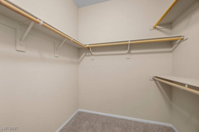 9127 Island Wolf Ave, Las Vegas, NV 89149 - photo 28
