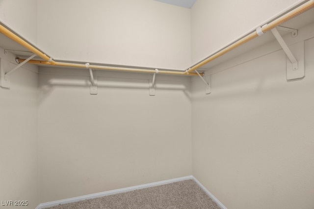 9127 Island Wolf Ave, Las Vegas, NV 89149 - photo 29