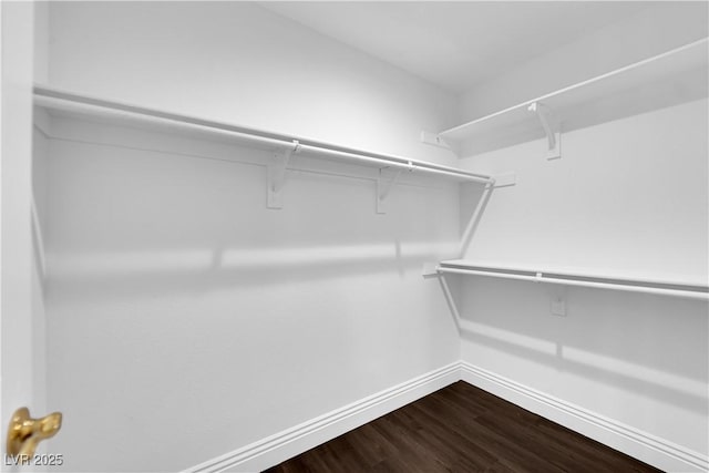 56 Grossinger Ct, Henderson, NV 89074 - spacious closet featuring dark wood-type flooring