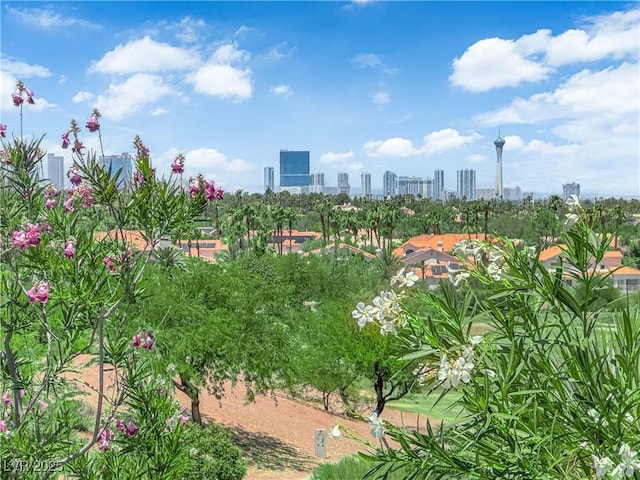 56 Grossinger Ct, Henderson, NV 89074 - view of undeveloped land with skyline