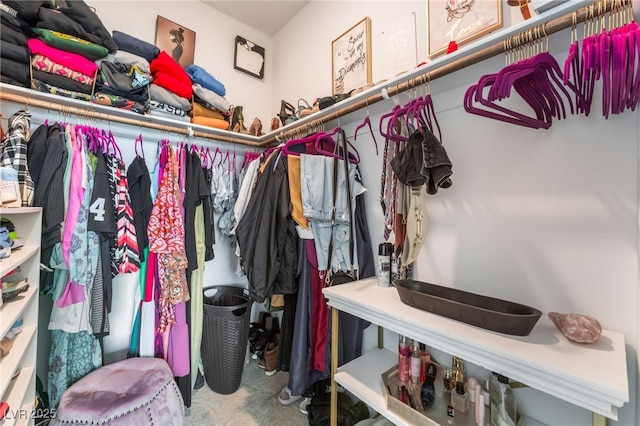 7107 Calvert Cliffs St, North Las Vegas, NV 89084 - walk in closet with carpet