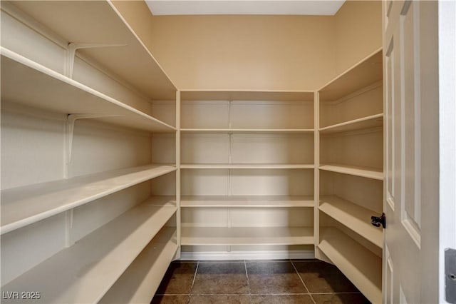 4208 Falcons Flight Ave, North Las Vegas, NV 89084 - view of pantry