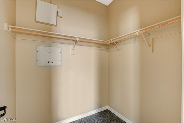4208 Falcons Flight Ave, North Las Vegas, NV 89084 - walk in closet with carpet