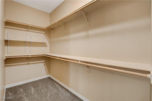 4208 Falcons Flight Ave, North Las Vegas, NV 89084 - walk in closet featuring carpet floors