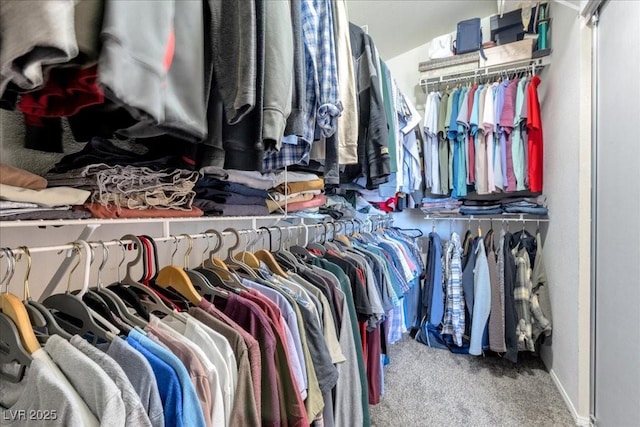 9836 La Vid Ct, Las Vegas, NV 89117 - walk in closet with carpet flooring