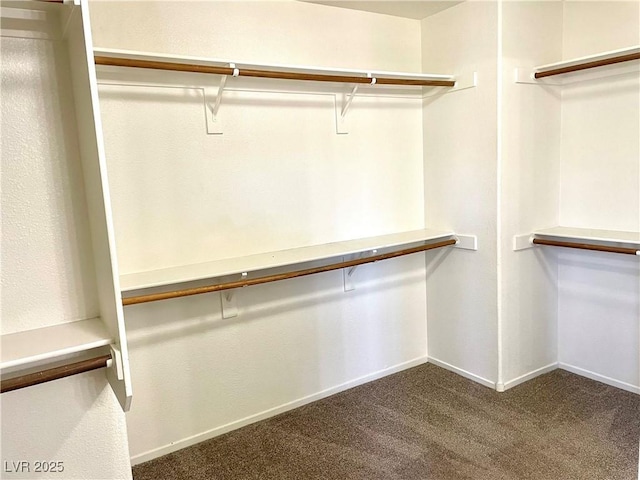164 Swale Ln, Las Vegas, NV 89144 - walk in closet featuring dark carpet