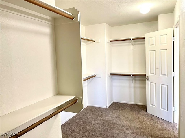 164 Swale Ln, Las Vegas, NV 89144 - spacious closet with carpet flooring