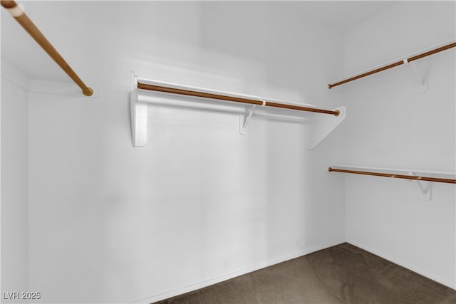 1205 Boulder Shore Ave, North Las Vegas, NV 89081 - walk in closet with dark colored carpet