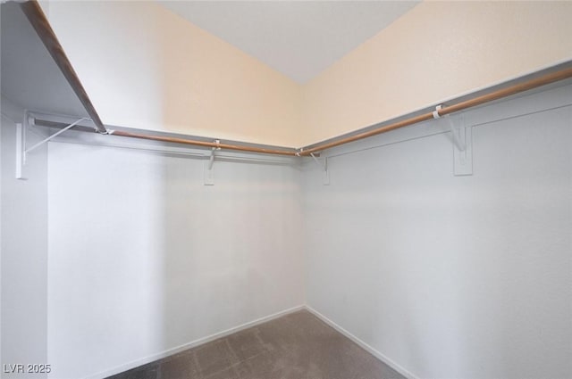 10610 Blue Larkspur Ct, Las Vegas, NV 89141 - photo 15